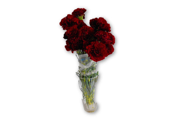 Carnations Red - Kenly's