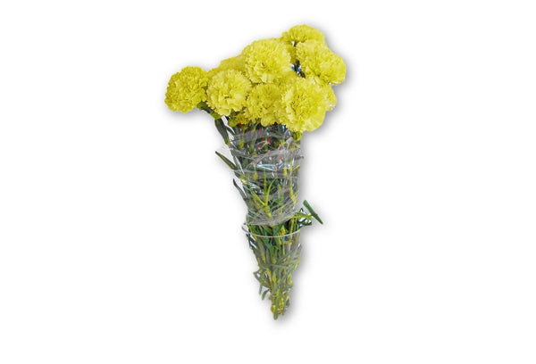 Carnations Yellow - Kenly's