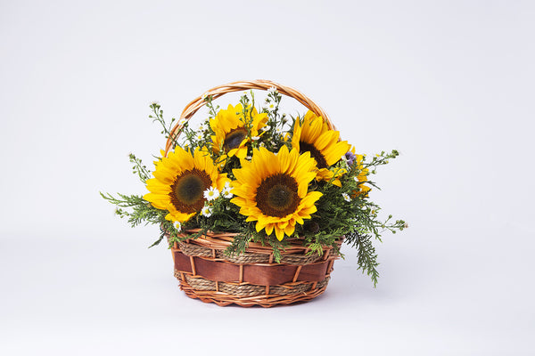 Sunflower and Michaelmas daisy basket - Kenly's