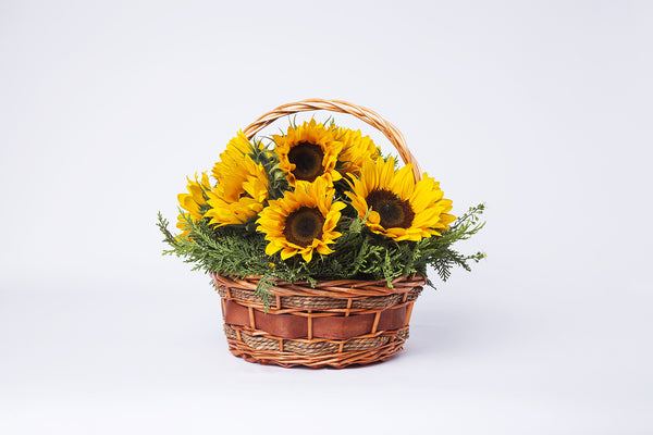 Sunflower basket - Kenly's