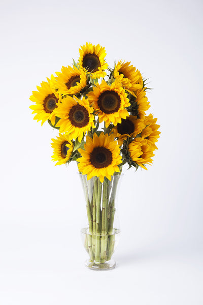 Sunflower arrangement in hand-made vase - Kenly's
