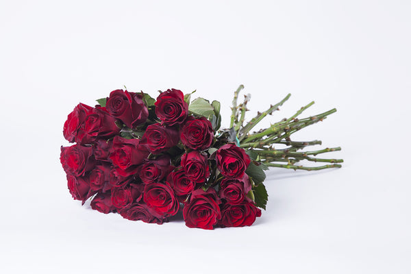 24 Red Roses 50-60cm - Kenly's