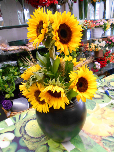Sunflower Sunshine - Kenly's