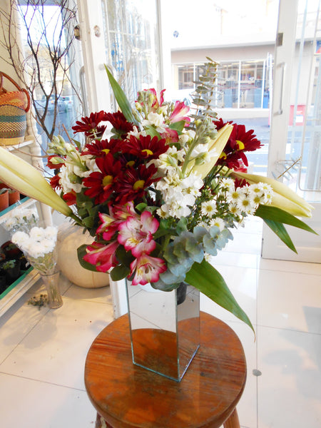 Mixed stargzer arrangement - Kenly's