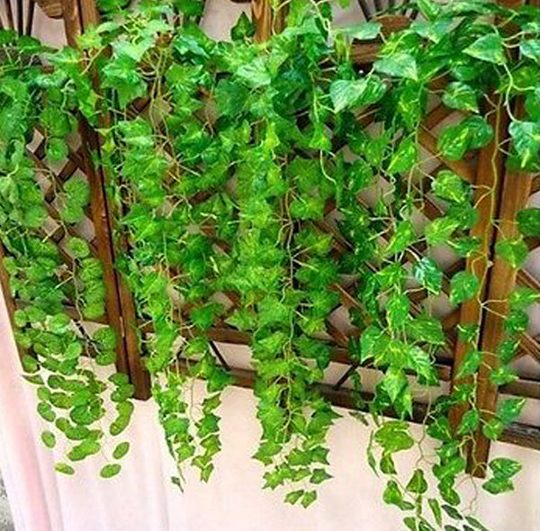 Artificial Ivy Leaf Garland - 240 cm - Kenly's